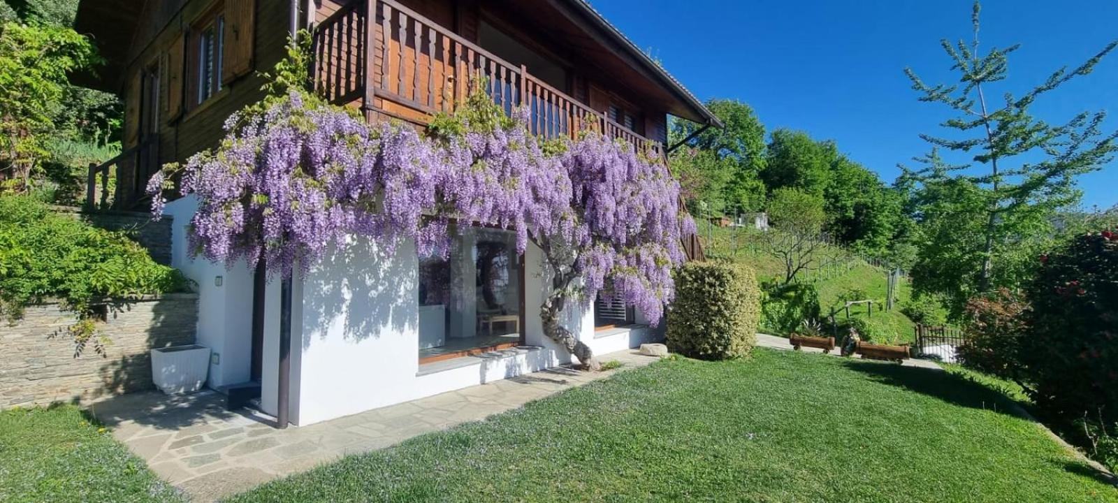 Chalet Sophie - Luxury Chalet Roletto Exteriör bild